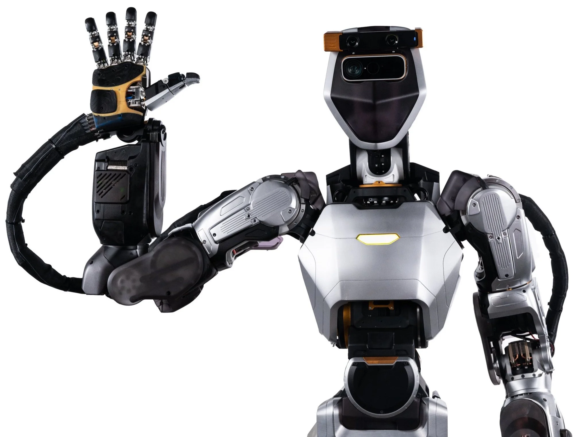 robot